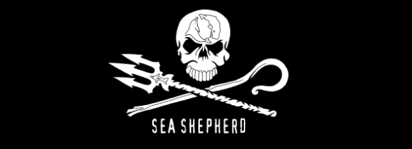 metal casino foundation