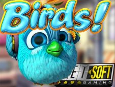 kasinos online Birds! betsoft