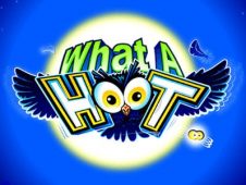 what a hoot slot
